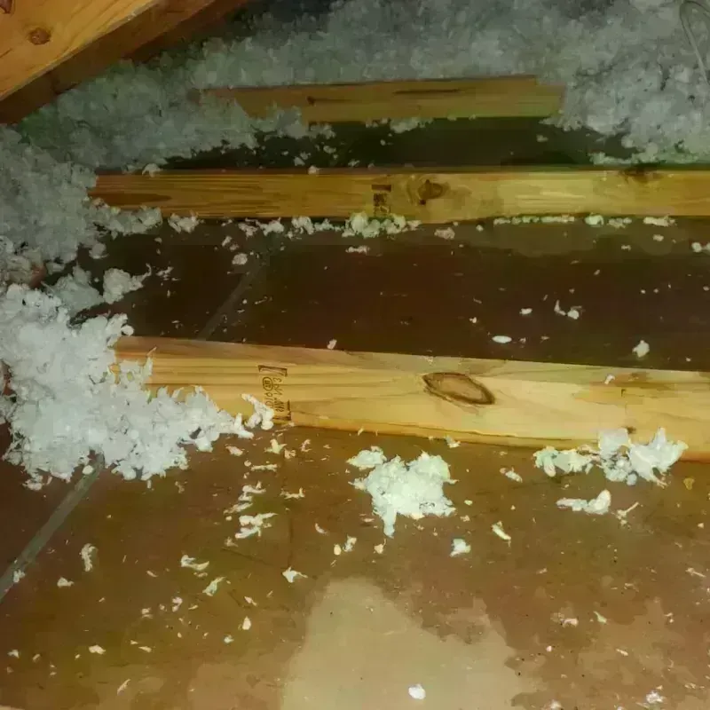 Attic Water Damage in Shasta, CA