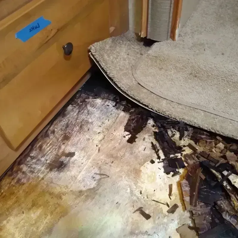 Best Wood Floor Water Damage Service in Shasta, CA